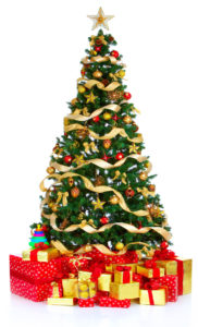 kh pp christmas tree adobe photo