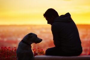 dog and man at sunset deposit photo 9 28 22
