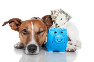 dog with piggy bank deposit photo 9 28 22